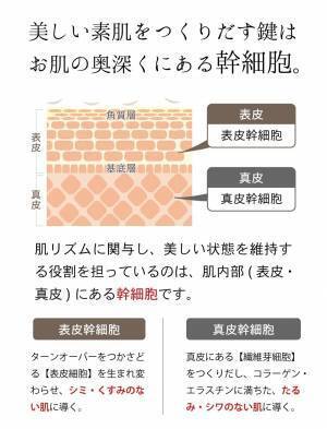 最新の再生医療分野から生まれた次世代エイジングケアライン「hitogata」