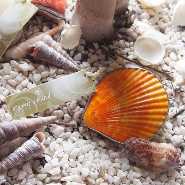 オーストラリアの貝殻がコンパクトに『シェルリップバーム』