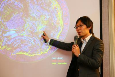 腸内フローラをデザインする食物繊維「イヌリン」に注目