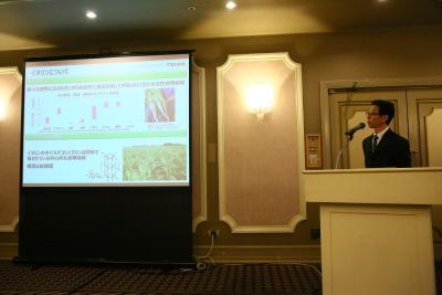 腸内フローラをデザインする食物繊維「イヌリン」に注目