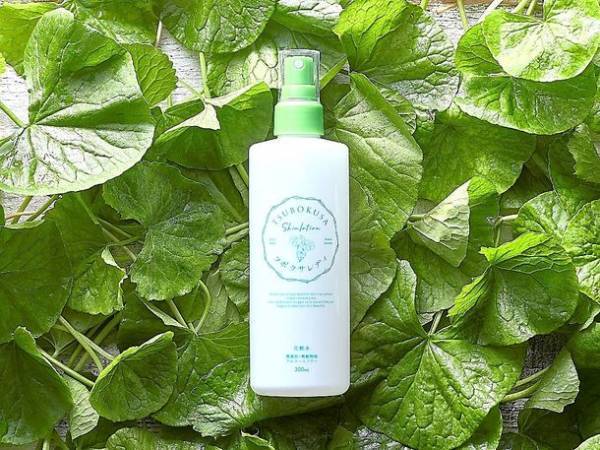 ウェブで先行販売スタート『ツボクサレディ バランシング リペアローション』