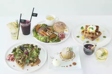 限定美肌メニューが食べられる！「BOTANIST cafe」