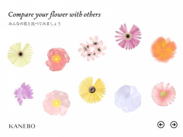 肌へのふれ方を花の咲き方としてビジュアル化したツールを導入