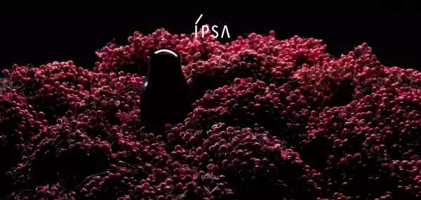 肌本来の柔らかくふっくらとした質感を取り戻そう