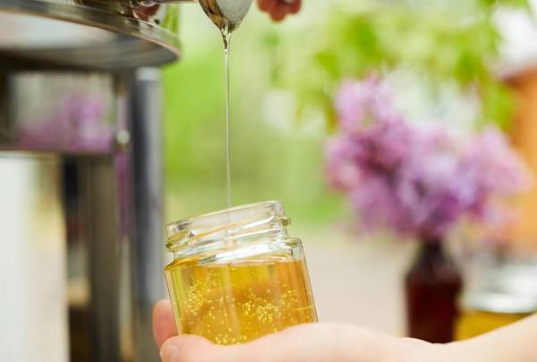 【星のや軽井沢】内と外から身体を癒やす限定プログラム「ハチミツ美人滞在」