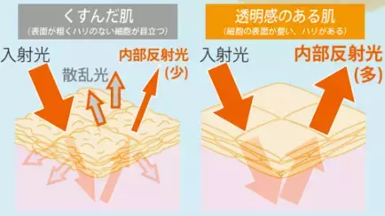 紫外線ダメージ肌に超高濃度成分をチャージ！短期集中型美容液