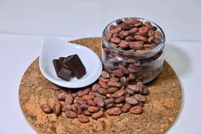 「高カカオチョコレート」はwithコロナ時代におすすめの間食！驚きの健康効果とは