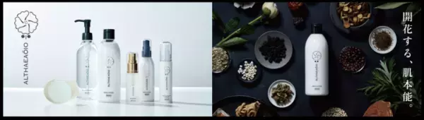 和漢の力と最先端技術で美しくなる！「エルテオ」が進化