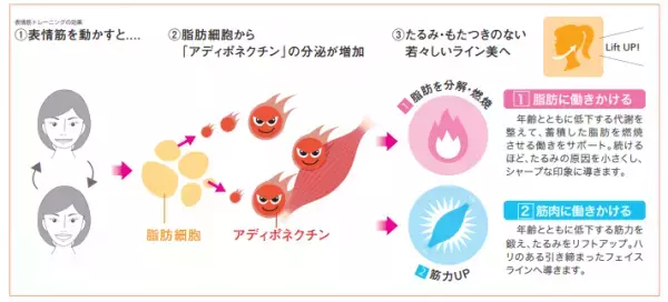 フェイスラインをスッキリ！フェイスライン原液登場。