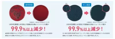 感染症予防に効果を発揮！「L8020乳酸菌」で元気に冬を過ごそう