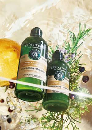 5種のハーブでしなやかなハリ・コシ髪へ。ロクシタンの新ヘアケアシリーズ誕生