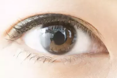 コロナ禍における角膜の傷リスクとニューノーマル時代の正しいアイケア習慣