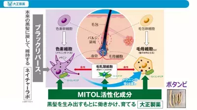 細胞のミトコンドリア活性で“脱・白髪”へ！「老け髪」予防の最新研究を発表
