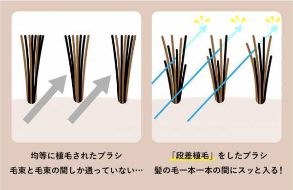 老舗ブラシメーカーとカリモク家具がコラボ！天然木×天然木のヘアブラシ