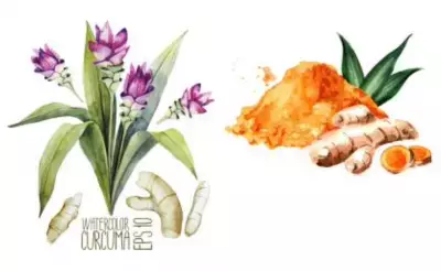 宮古ビデンス・ピローサによるアンチポリューションコスメ「Amulace コンディショニングアクアジェル」新登場