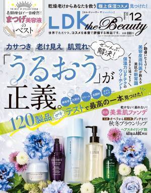 一瞬で大人美人 ブラウンリップをテスト『LDK the Beauty』