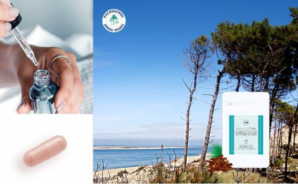 高濃度の国産ピクノジェノールサプリメントが新登場