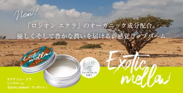 もうすぐ締め切り！新登場のリップバームをプレゼント　P.G.C.D.