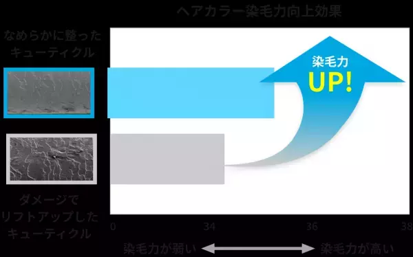 1回で染める！ミープラス「クリームカラートリートメント」新発売