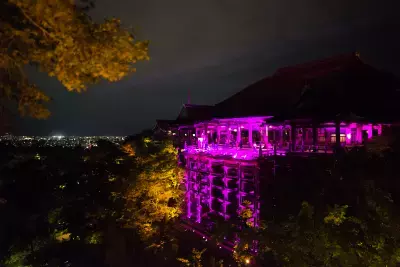 エスティ ローダー グループ 2022乳がんキャンペーンはグローバルイルミネーション！