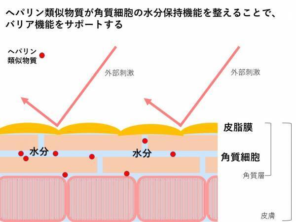 重ねづけOK!敏感肌向けエバメール「光潤水プレミアム化粧水」