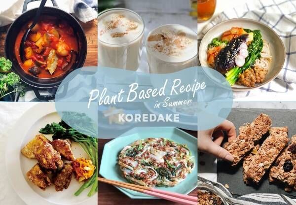 植物性プロテイン『KOREDAKE』がプラントベース・ダイエットレシピを公開