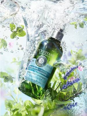 爽快ヘアケアで猛暑を乗り切る！ロクシタンより夏季限定キット数量限定発売