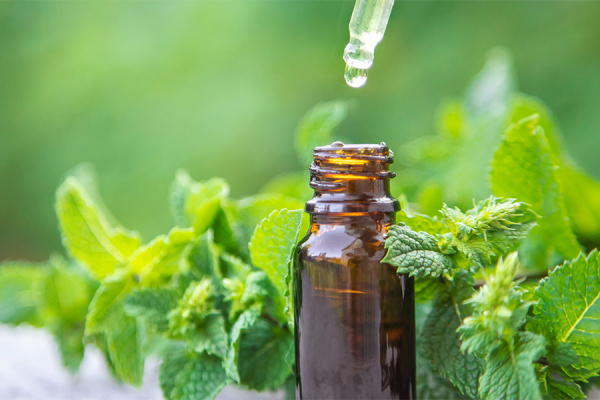 日常に疲れた心と体を癒そう！「リトリートアロマ」講座開催