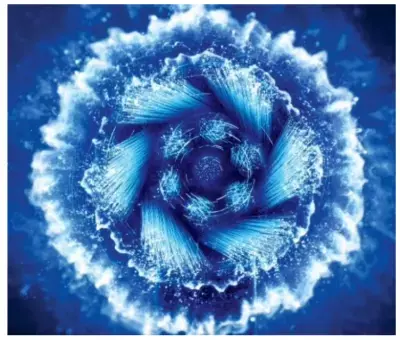 世界の歯科医推奨No.1ブランド(※1)『Oral-B by Braun』新シリーズ「オーラルB iO5, iO4, iO3」10月初旬発売