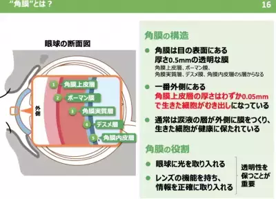 子どもにも広がる角膜リスク！デジタル社会で増加する角膜の傷と影響