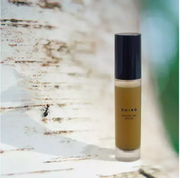 大地の栄養を凝縮！SHIROが旬シリーズ『白樺2023』の化粧水と美容液を発売