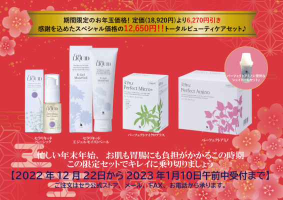 お年玉価格で販売！トータルビューティケアセット