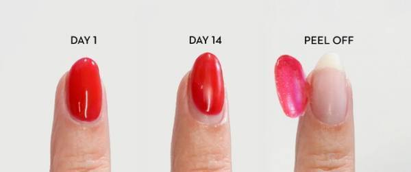 持ちが良くて手軽にオフ ピールオフセルフジェルネイル予約販売開始