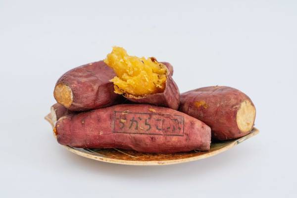 ダイエットのための焼き芋「ICE TOREIMO」／ボディメイク応援農家「ちからこぶ」