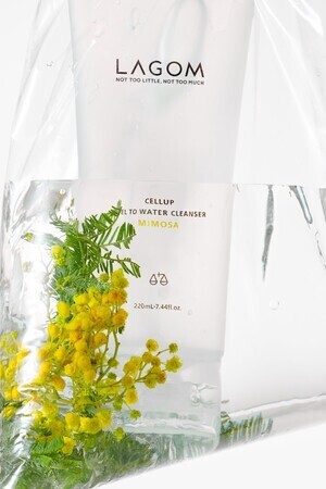 【数量限定】韓国発「LAGOM」より、春のミモザ香る朝用洗顔ジェルが今年も登場