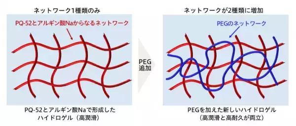 花王の研究所がキューティクルの代わりに髪を守る新しいヘアケア素材を開発