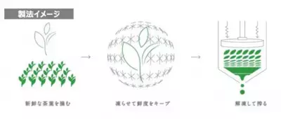 「キリン 生茶」リニューアル、生茶だけのおいしさを生み出す2つのテクノロジー