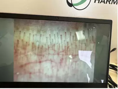 無料体験も可能！資生堂最新の研究成果の集大成・鼻骨格や自律神経などの複合測定プログラムが面白い