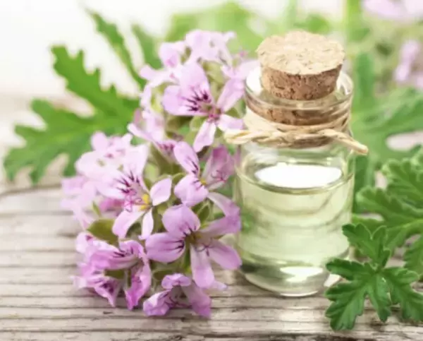 世界初の先行型集中美容液で、かつてないハリ・透明感を体感