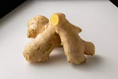 100年以上にわたる「和漢植物」研究を活かしたクラフトコーラでウェルビーイングなひとときを