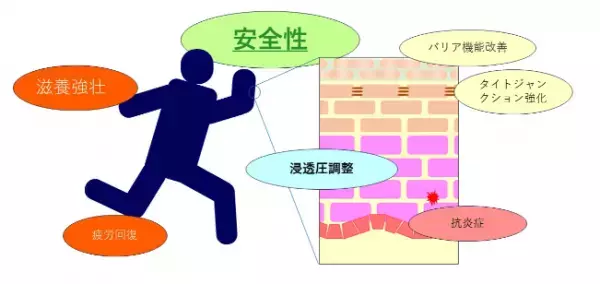 疲労回復だけじゃない！コスメディ製薬がタウリンの美容成分としての新たな働きを発見