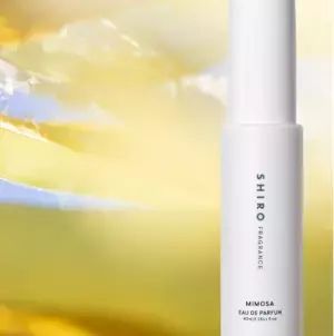 「SHIRO」心地よい春の訪れを告げるミモザのフレグランス今年も限定発売