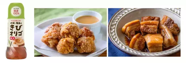 健康維持に活躍「沖縄・奄美のきびオリゴ」をリニューアル販売