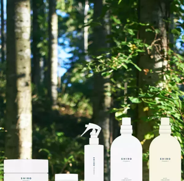 【SHIRO】森林浴をしているような香りに包まれる『ウッド』を発売