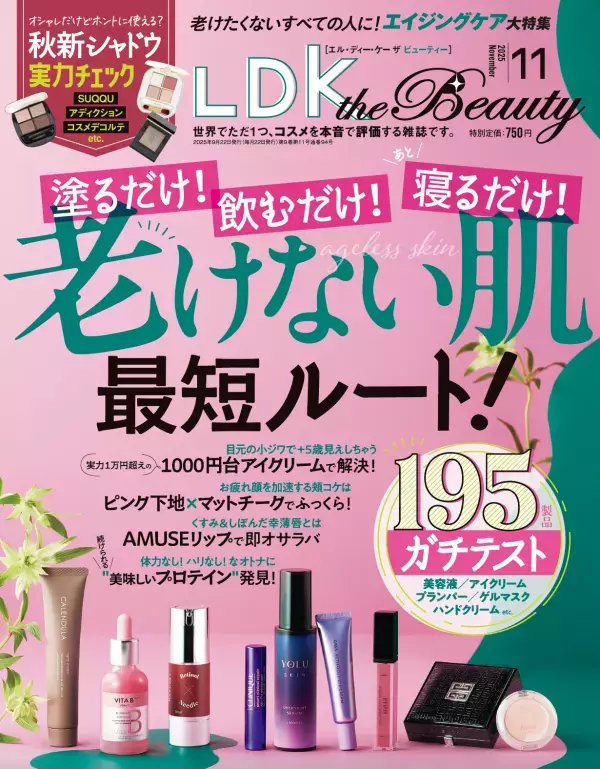 秋っぽさ満点 最旬アイシャドウ『LDK the Beauty』11月号
