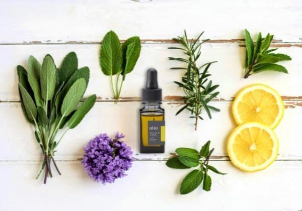 茶の実から生まれたスキンケアオイルに新商品　オイル専門ブランドolio