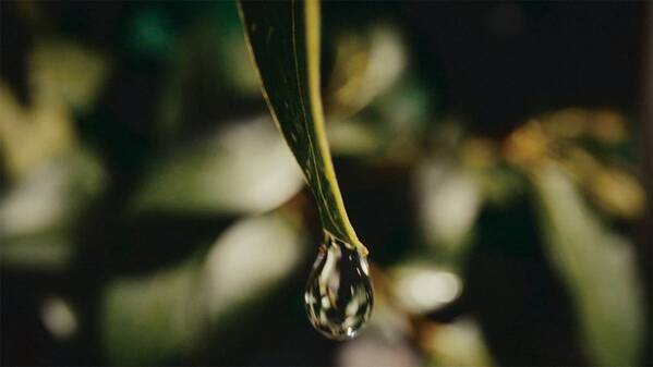 常識を覆す驚きの処方！ヘアケアブランド「OLES」