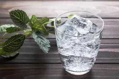 強炭酸ブームが続く今季、無糖炭酸水の人気が急上昇。おしゃれな瓶ボトルも注目