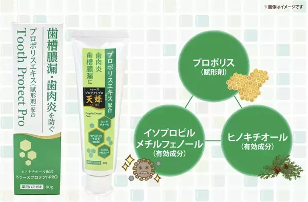 日本調剤のPBから、プロポリスとWの殺菌成分を配合した「薬用歯磨き粉」が新登場！