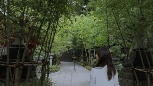 日本屈指のパワースポット「來宮神社」で恋愛成就！？静岡・星野リゾート周辺のオススメ観光地